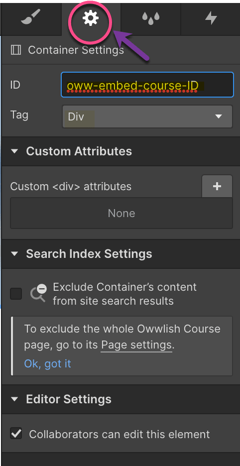 Webflow Container Settings with pasted Owwlish course code