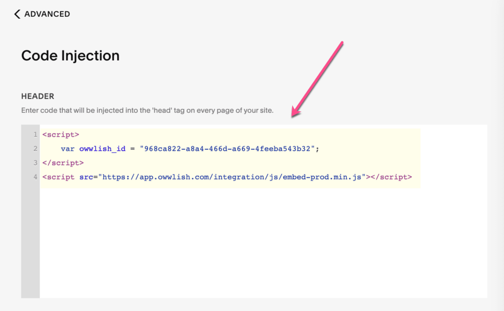 Squarespace code injection in advanced site settings