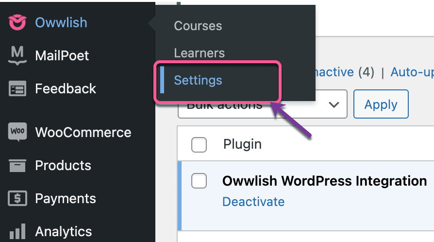 WordPress - Owwlish settings